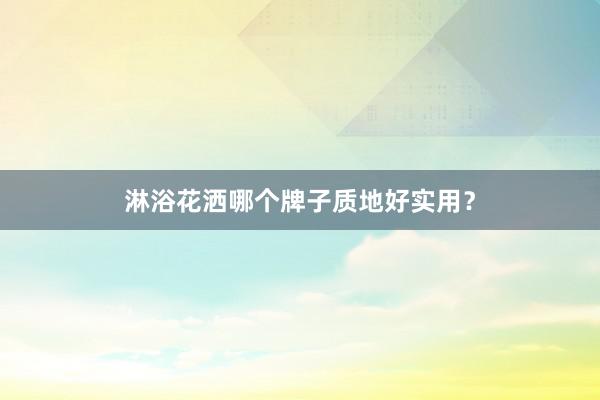 淋浴花洒哪个牌子质地好实用？